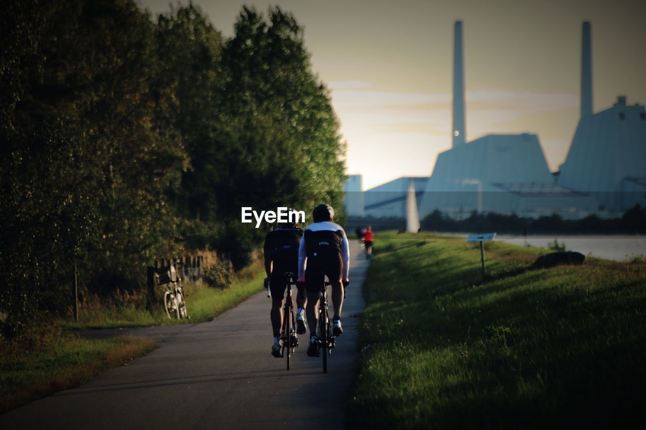 Rear view of cyclists riding bicycles on road during sunset