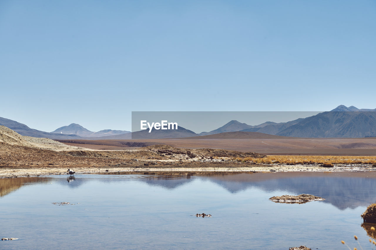 Scenic view of lake against clear blue sky