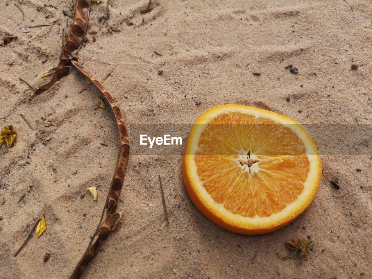 High angle view of orange slices