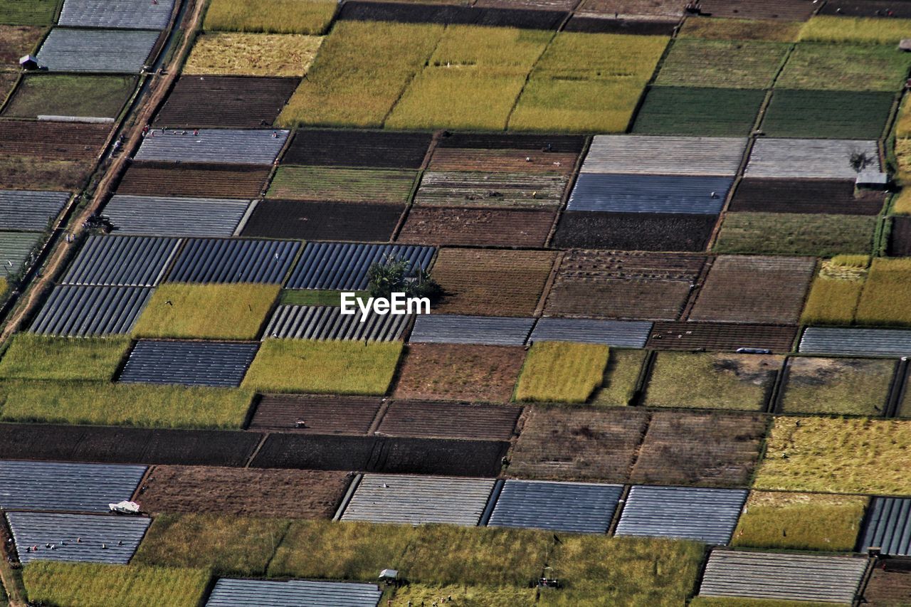 High angle view of rice fields in lombok, indonesia