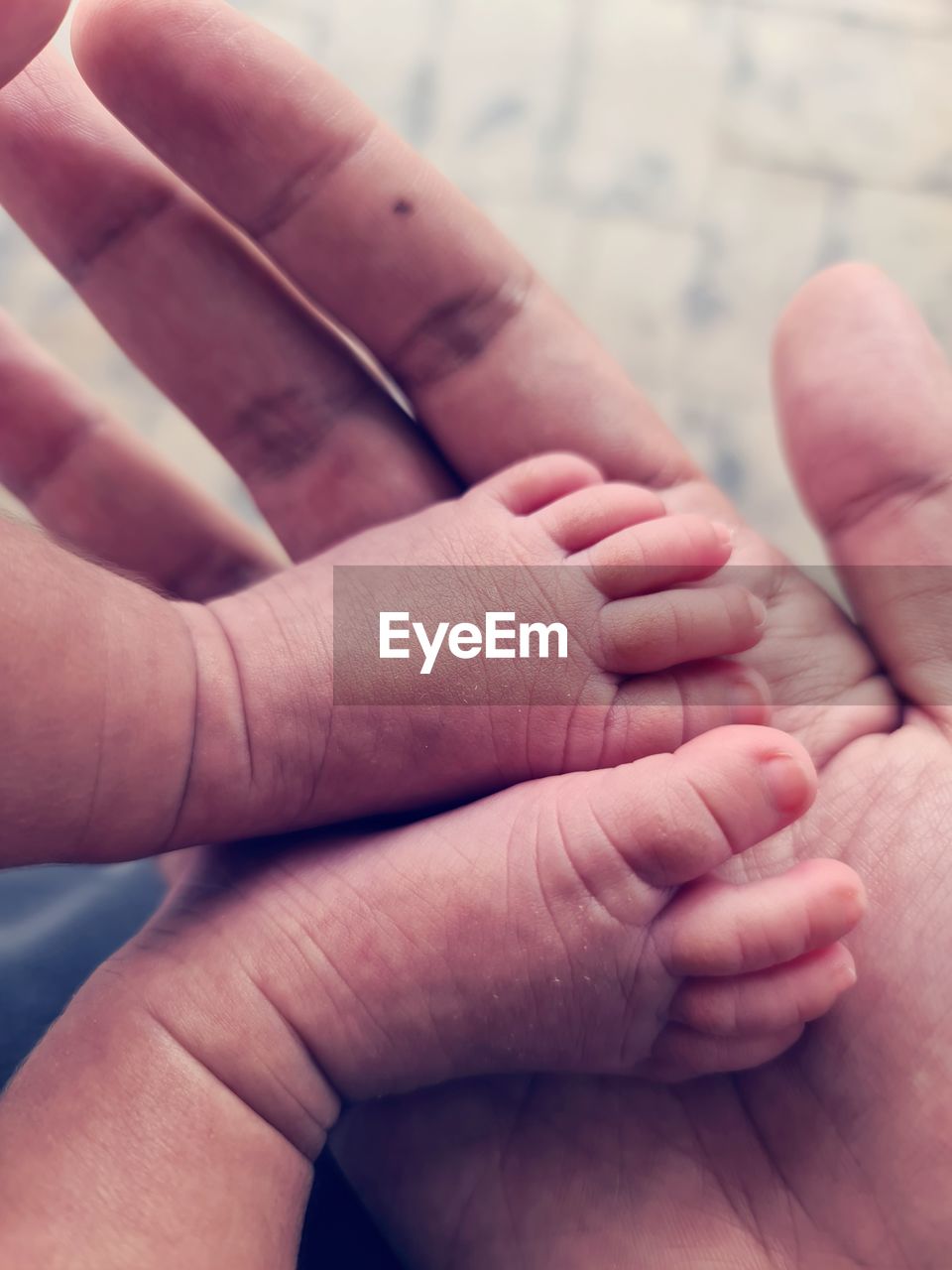 Close-up of baby feet in palm of hand