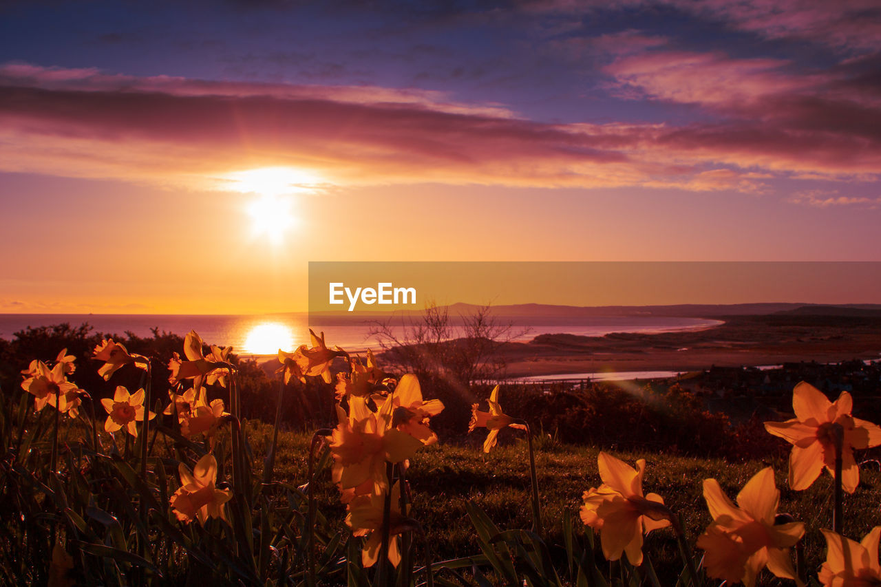 SCENIC VIEW OF SUNSET OVER FIELD