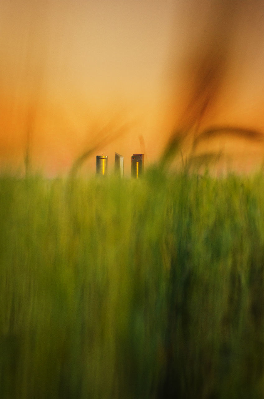 SCENIC VIEW OF LAND DURING SUNSET