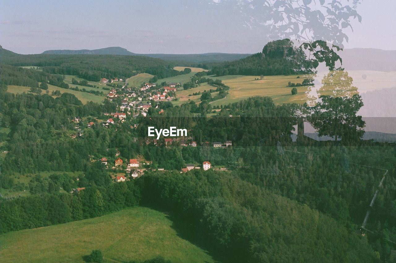 High angle shot of trees on countryside landscape