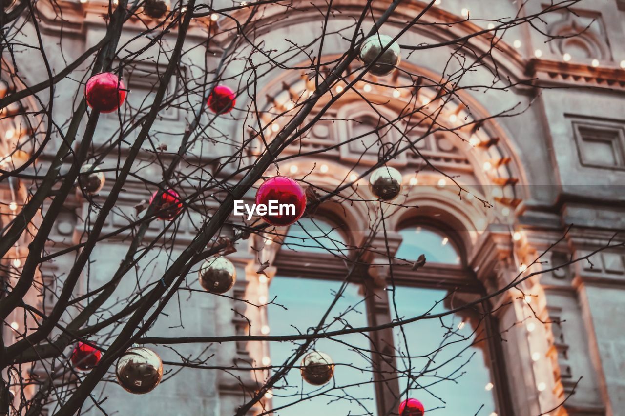 LOW ANGLE VIEW OF BARE TREE AGAINST BUILDINGS