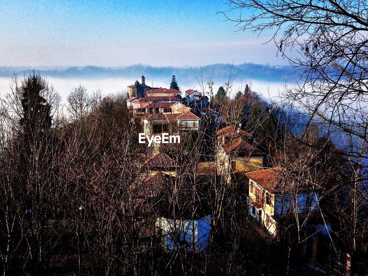 View of trees and buildings against sky