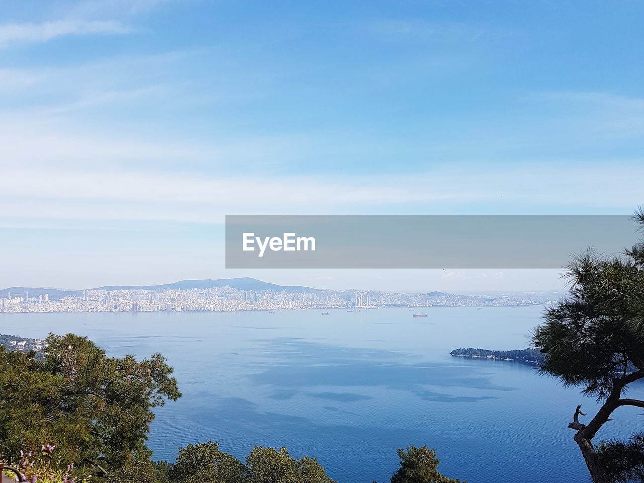 Scenic view of trees against blue sky