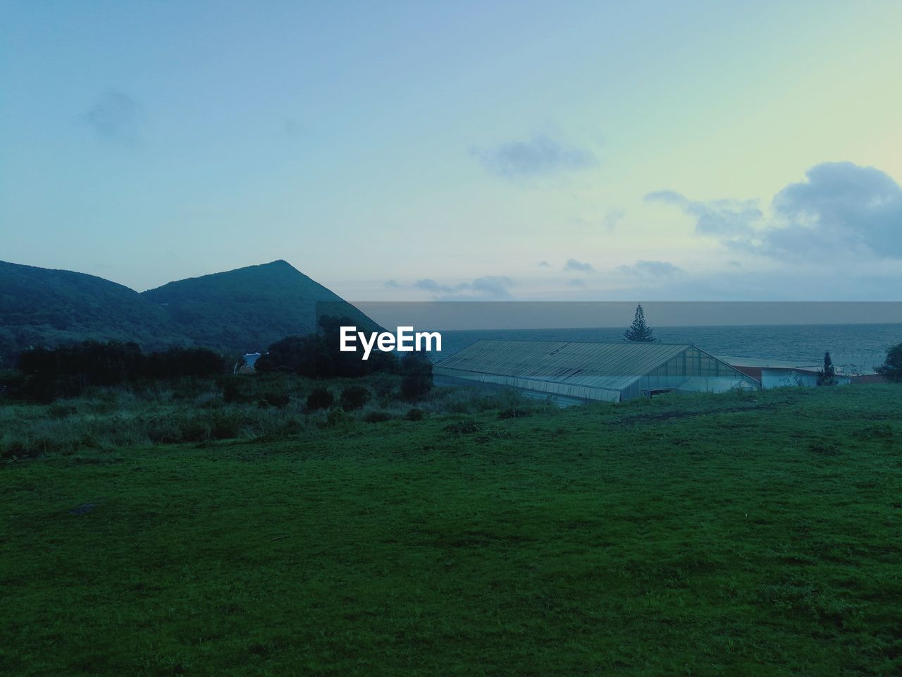 Scenic view of field against sky during sunset