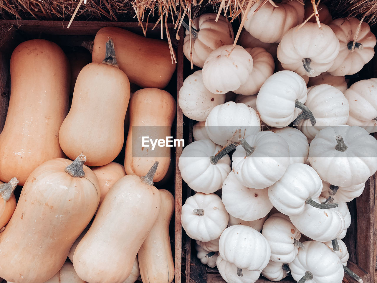 High angle view of pumpkins for sale at market stall