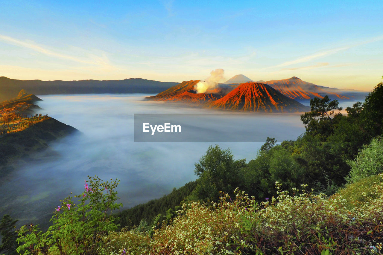 Scenic view of landscape against sky