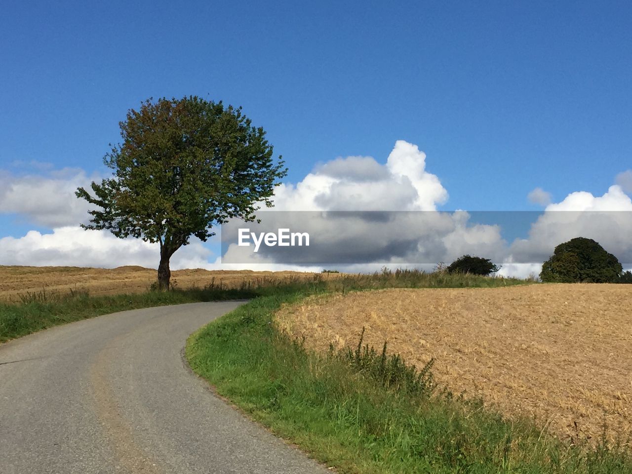 SCENIC VIEW OF ROAD BY FIELD AGAINST SKY