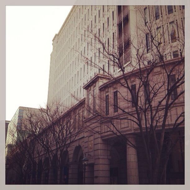 LOW ANGLE VIEW OF BARE TREES AND BUILDING AGAINST SKY