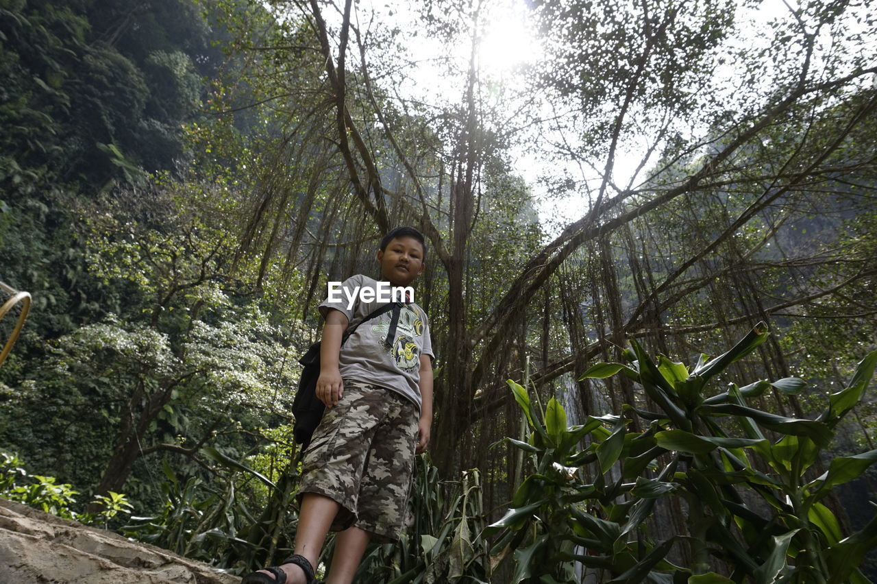 Low angle view of boy standing at forest