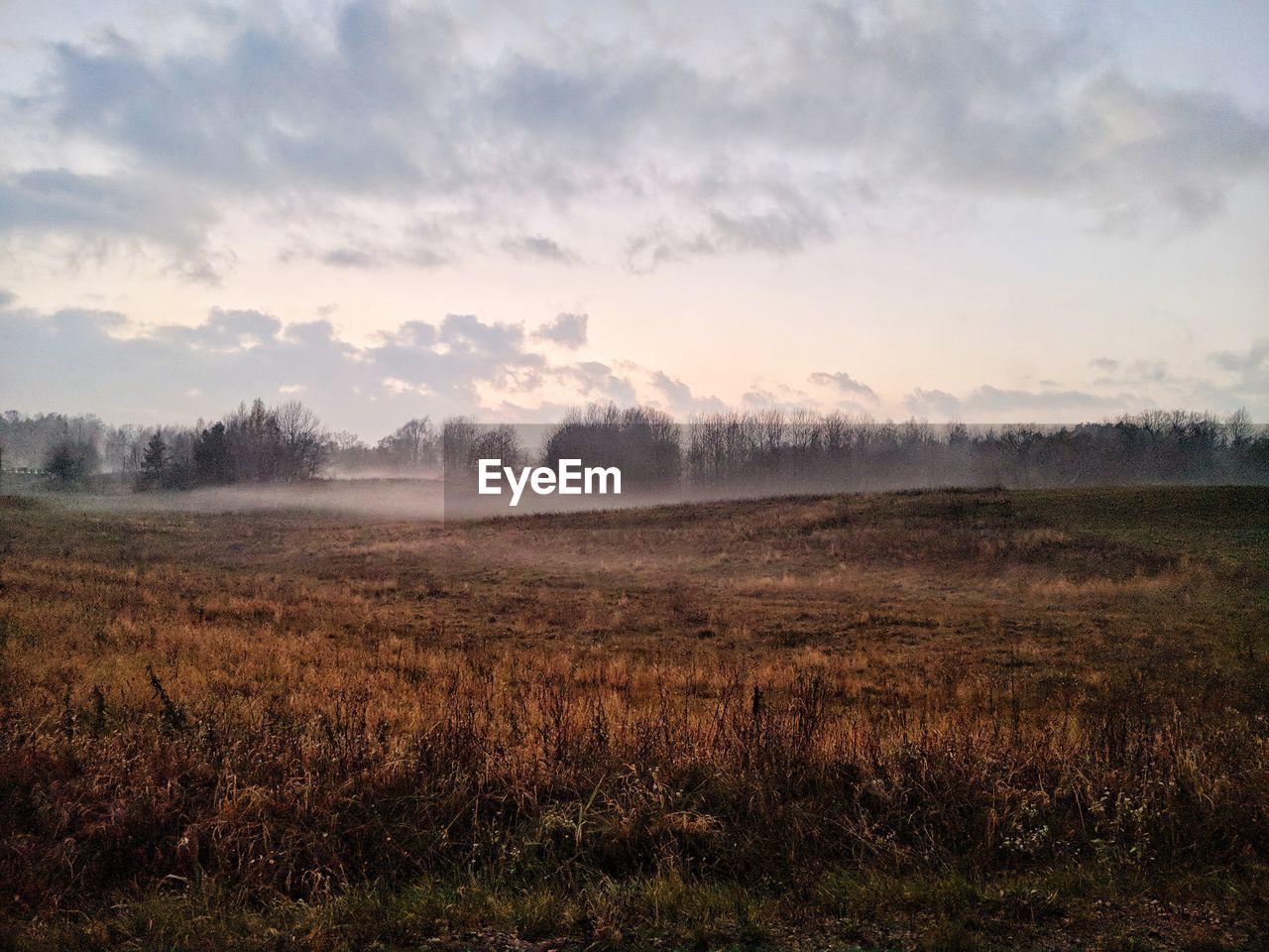 VIEW OF FIELD AGAINST SKY