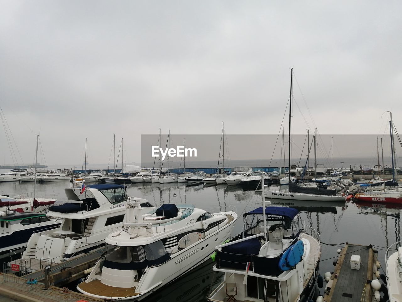 Sailboats moored in harbor