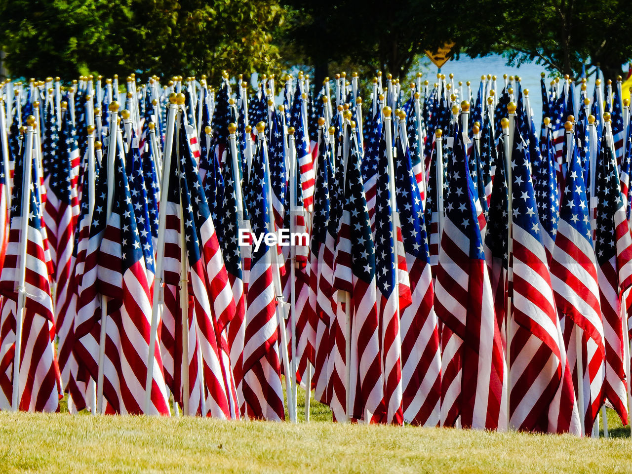 Panoramic shot of flags on field