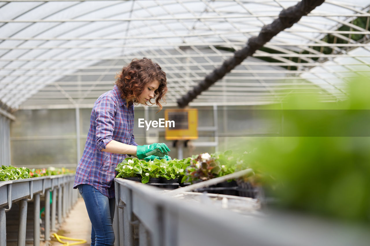 Woman working over plants in greenhouse