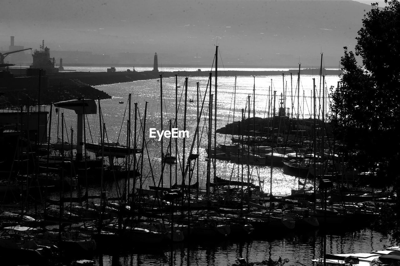 Sailboats moored at harbor against sky in city