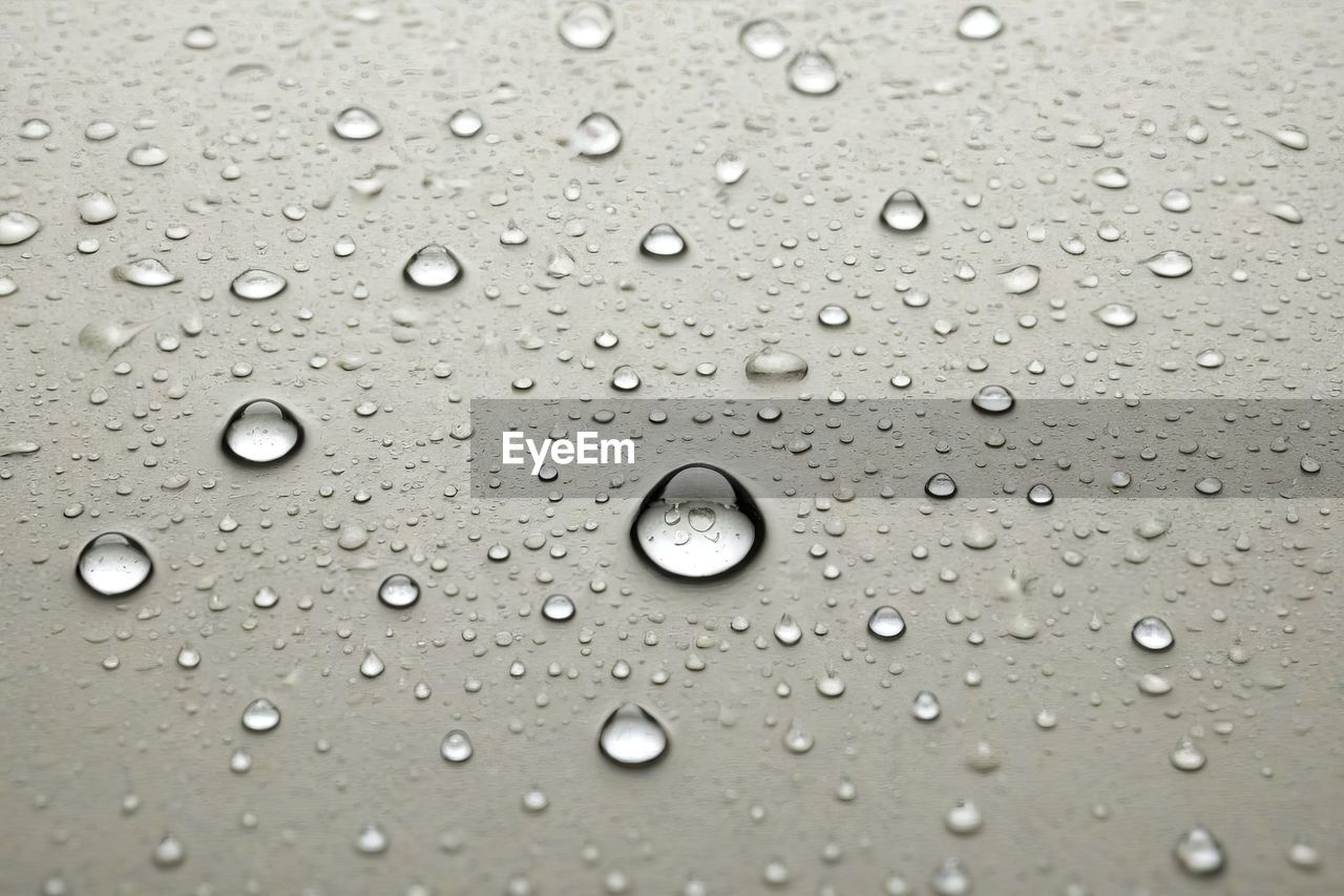 drop, wet, water, rain, backgrounds, no people, close-up, full frame, raindrop, circle, nature, indoors, transparent, pattern, glass, window, rainy season, purity, geometric shape, black and white, shape, textured, liquid bubble, simplicity, day, freshness, monsoon, drizzle, bubble