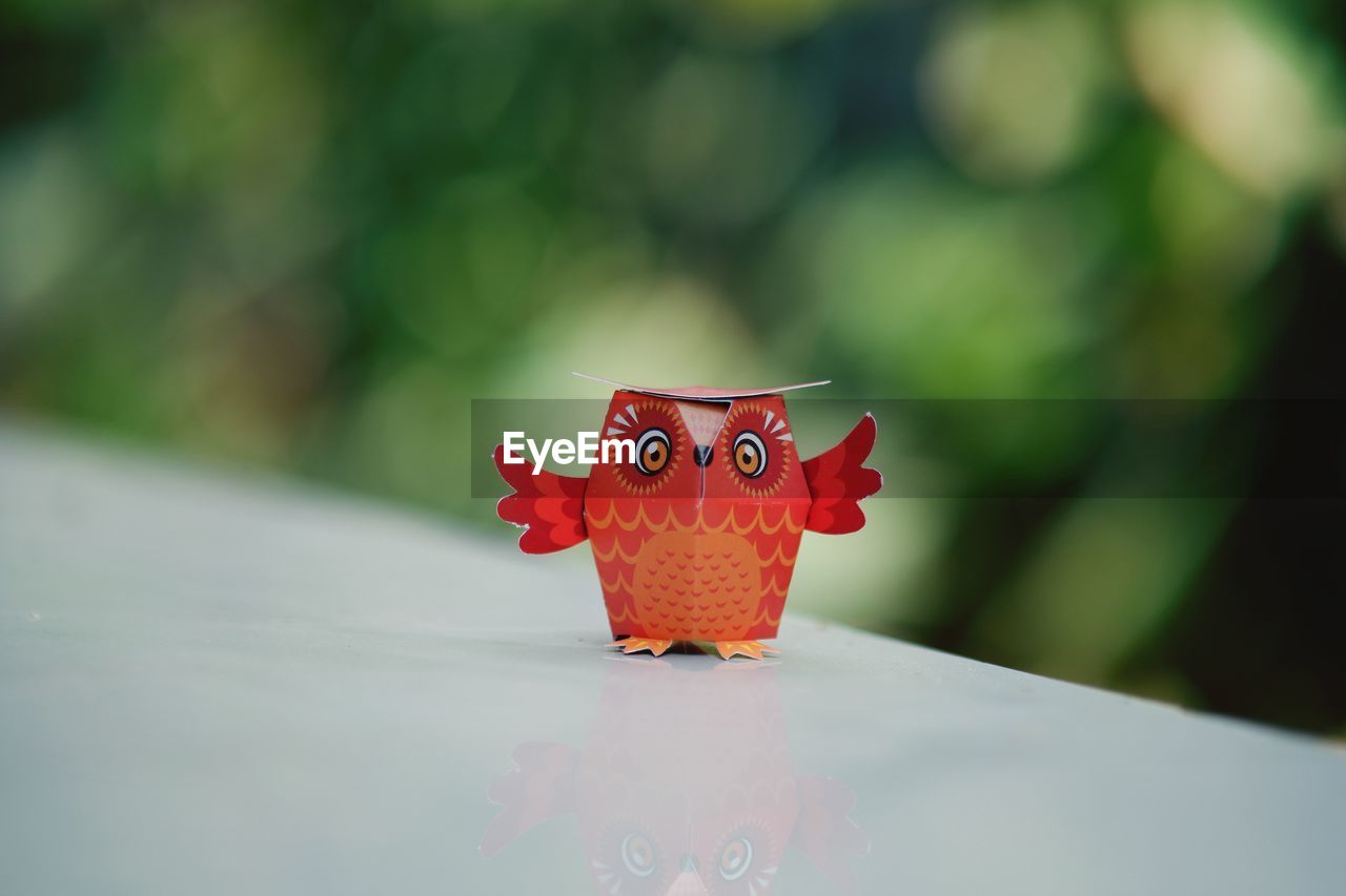 CLOSE-UP OF SMALL TOY ON RED LEAF