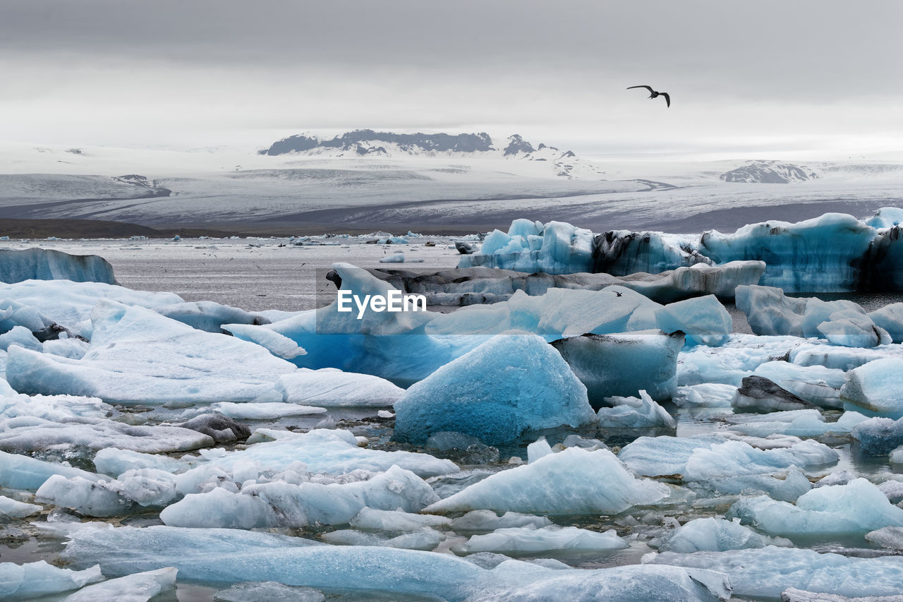 Glacier lagoon with striking ice formations, icebergs in shades of blue, iceland, jökulsárlón