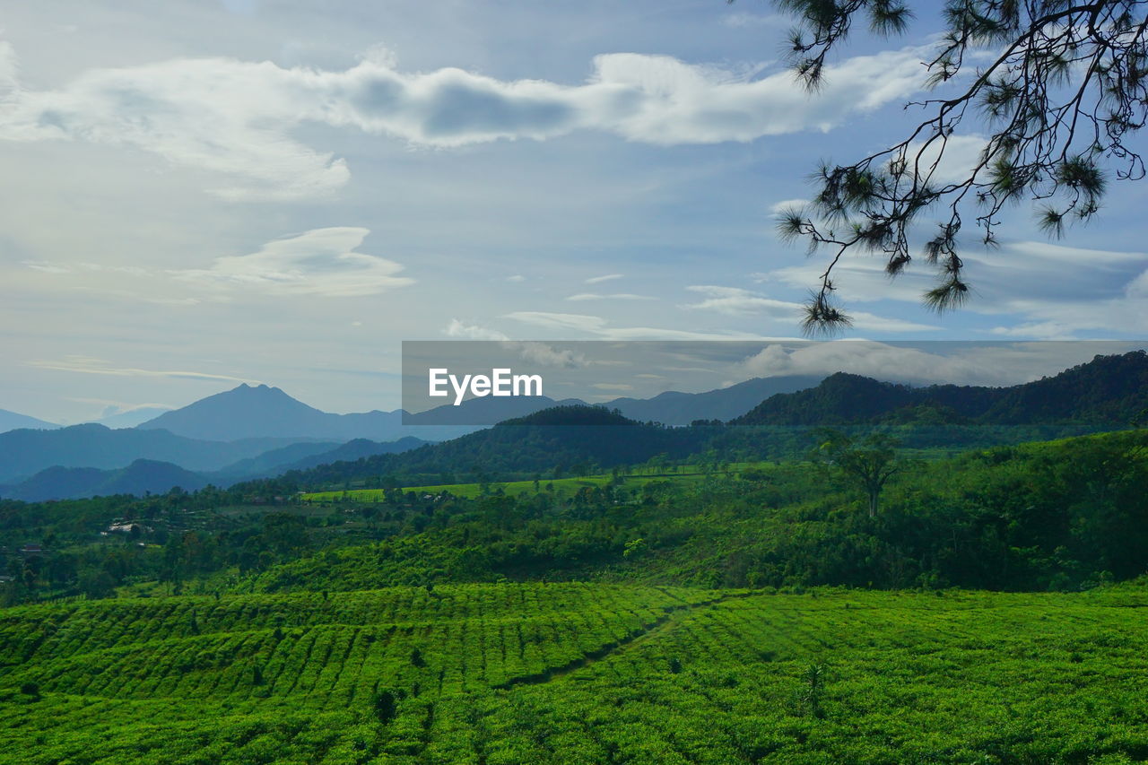 SCENIC VIEW OF AGRICULTURAL FIELD BY MOUNTAINS AGAINST SKY