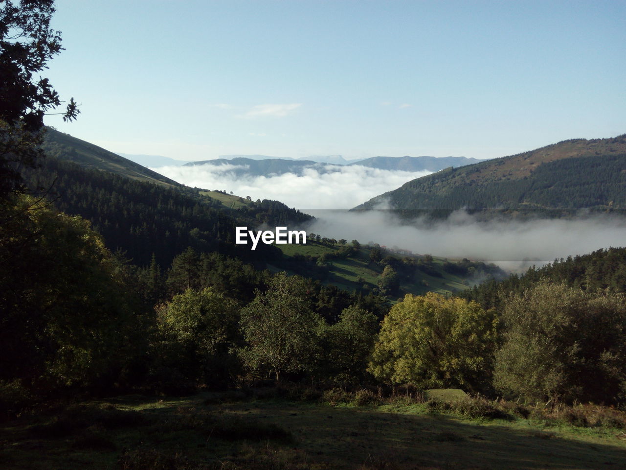 Idyllic shot of landscape in foggy weather against sky