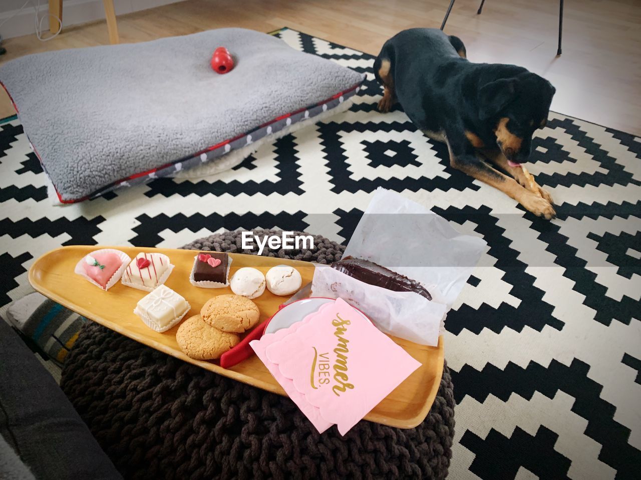 HIGH ANGLE VIEW OF A DOG ON BED