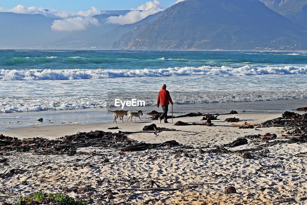 Full length of man with dogs walking on beach