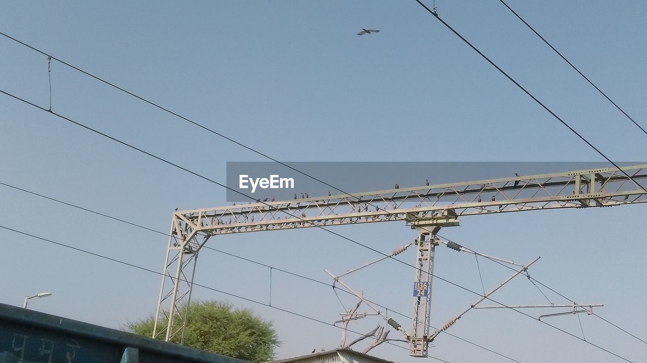 LOW ANGLE VIEW OF BIRDS ON POWER LINES AGAINST SKY