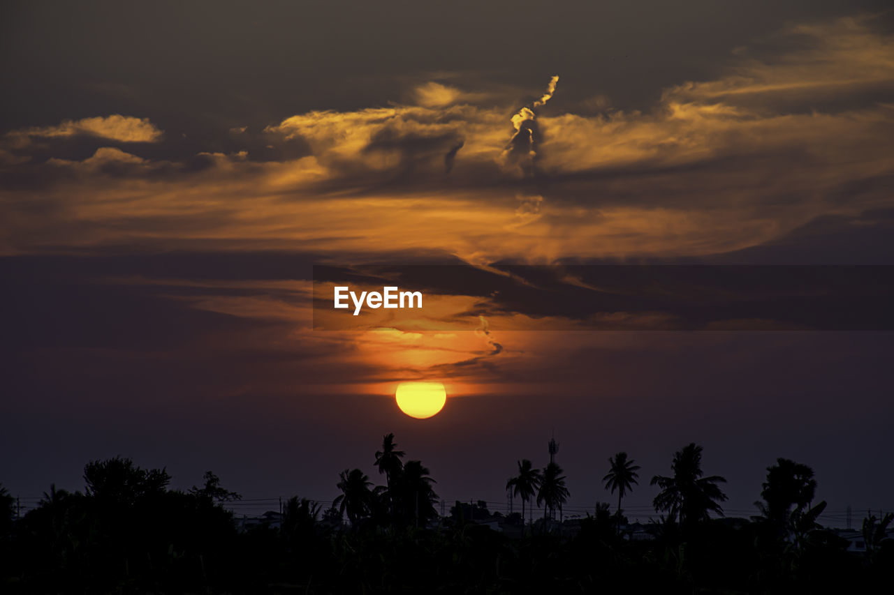 Low angle view of silhouette trees against sky during sunset