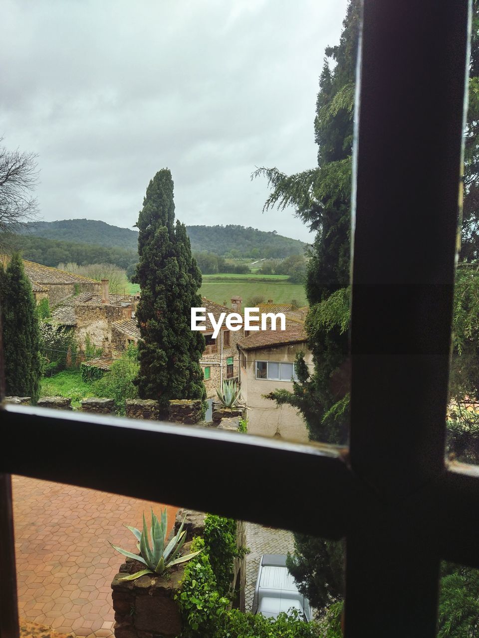 TREES AND BUILDINGS SEEN THROUGH WINDOW