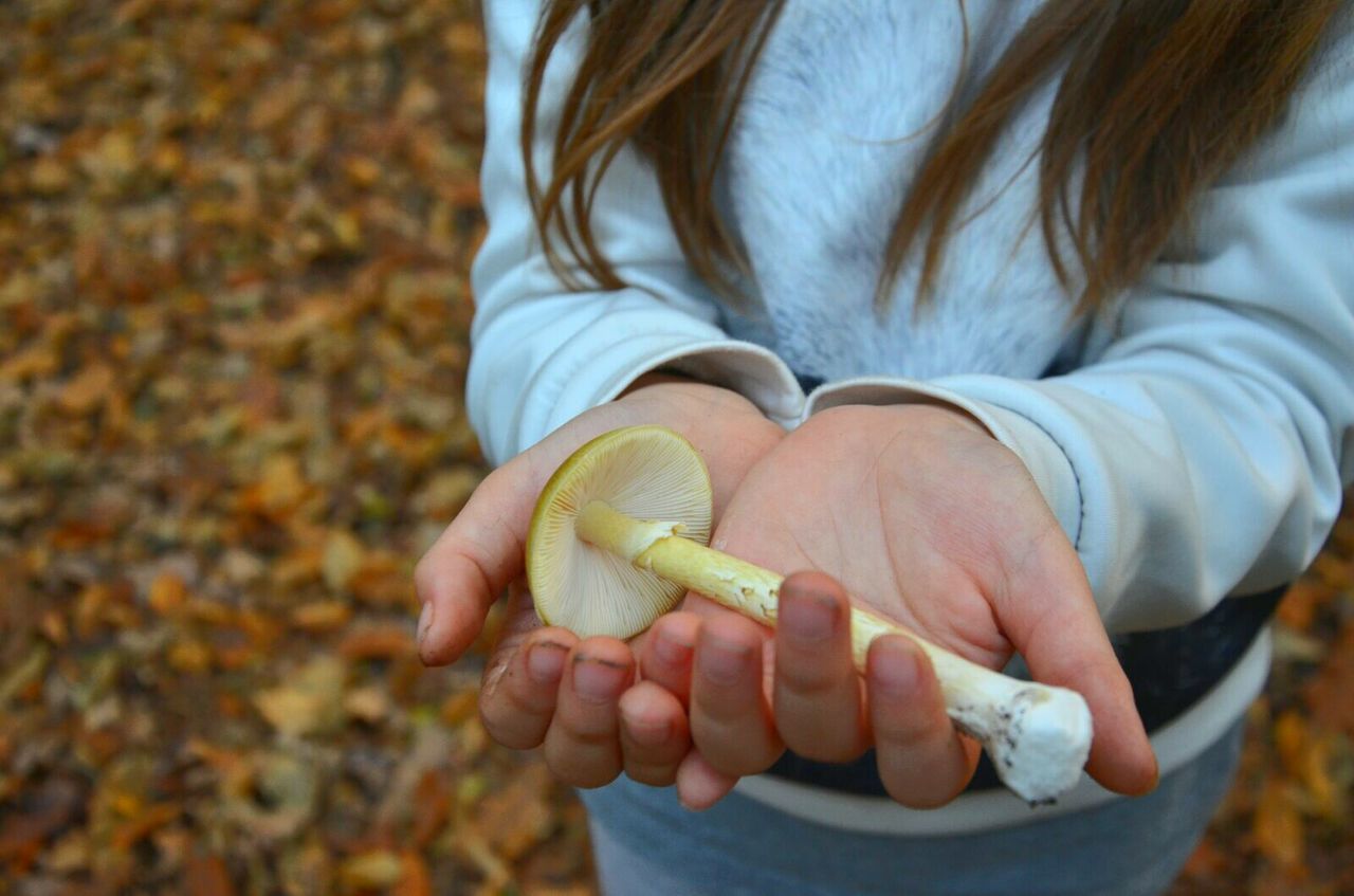 Midsection of woman holding mushroom while standing on field during autumn