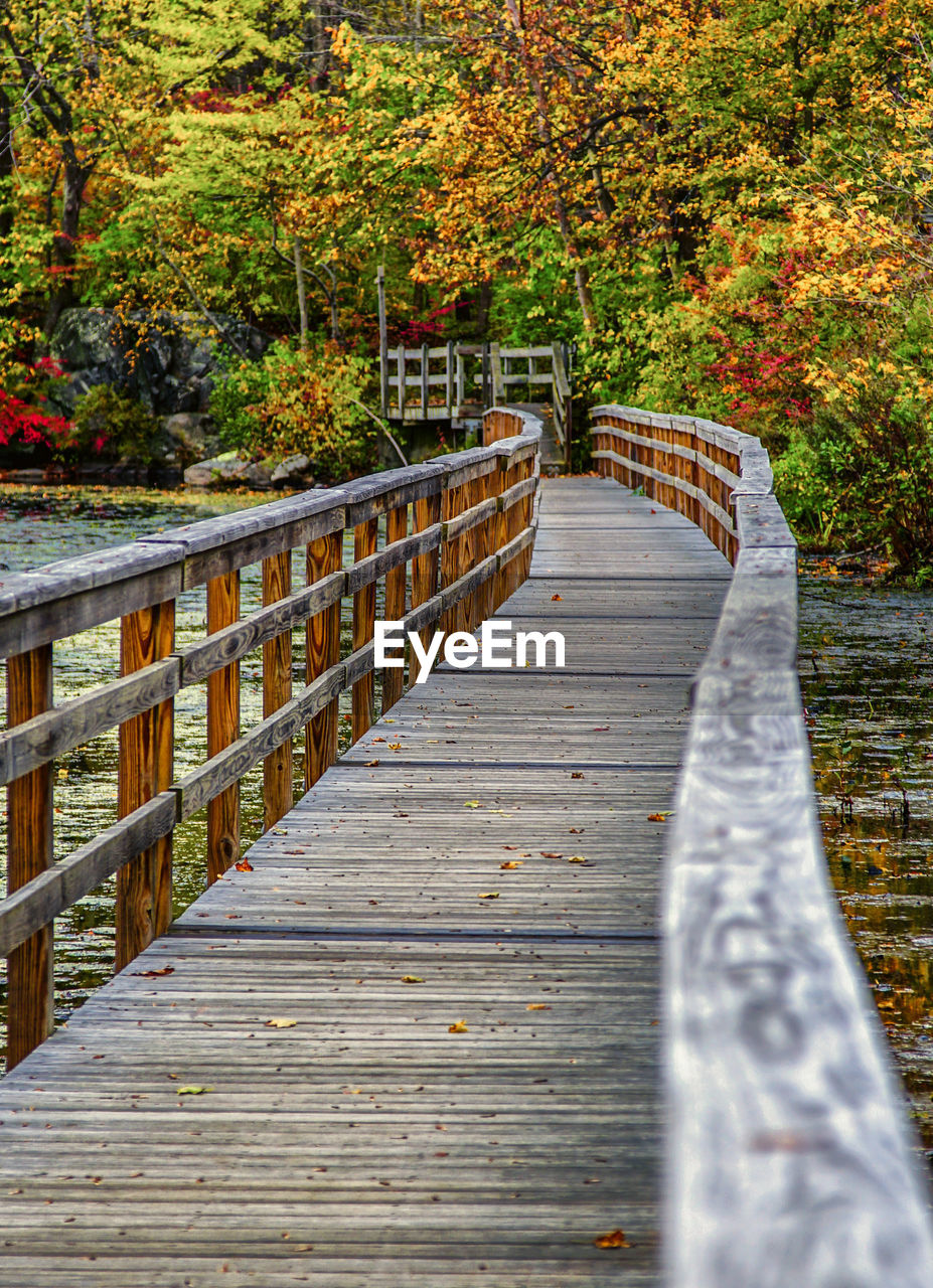 FOOTBRIDGE AMIDST TREES IN AUTUMN