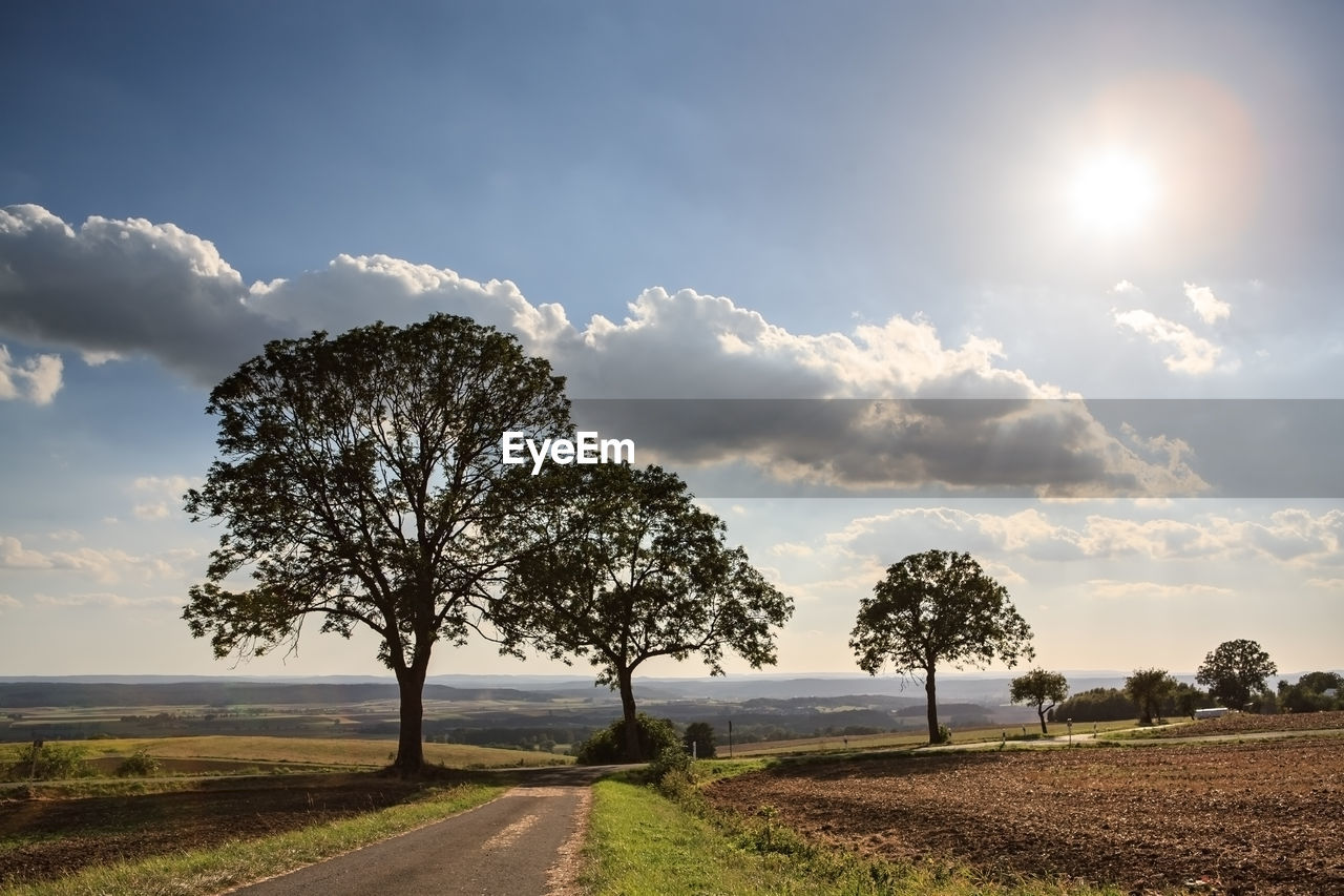 Road amidst trees on field against sky