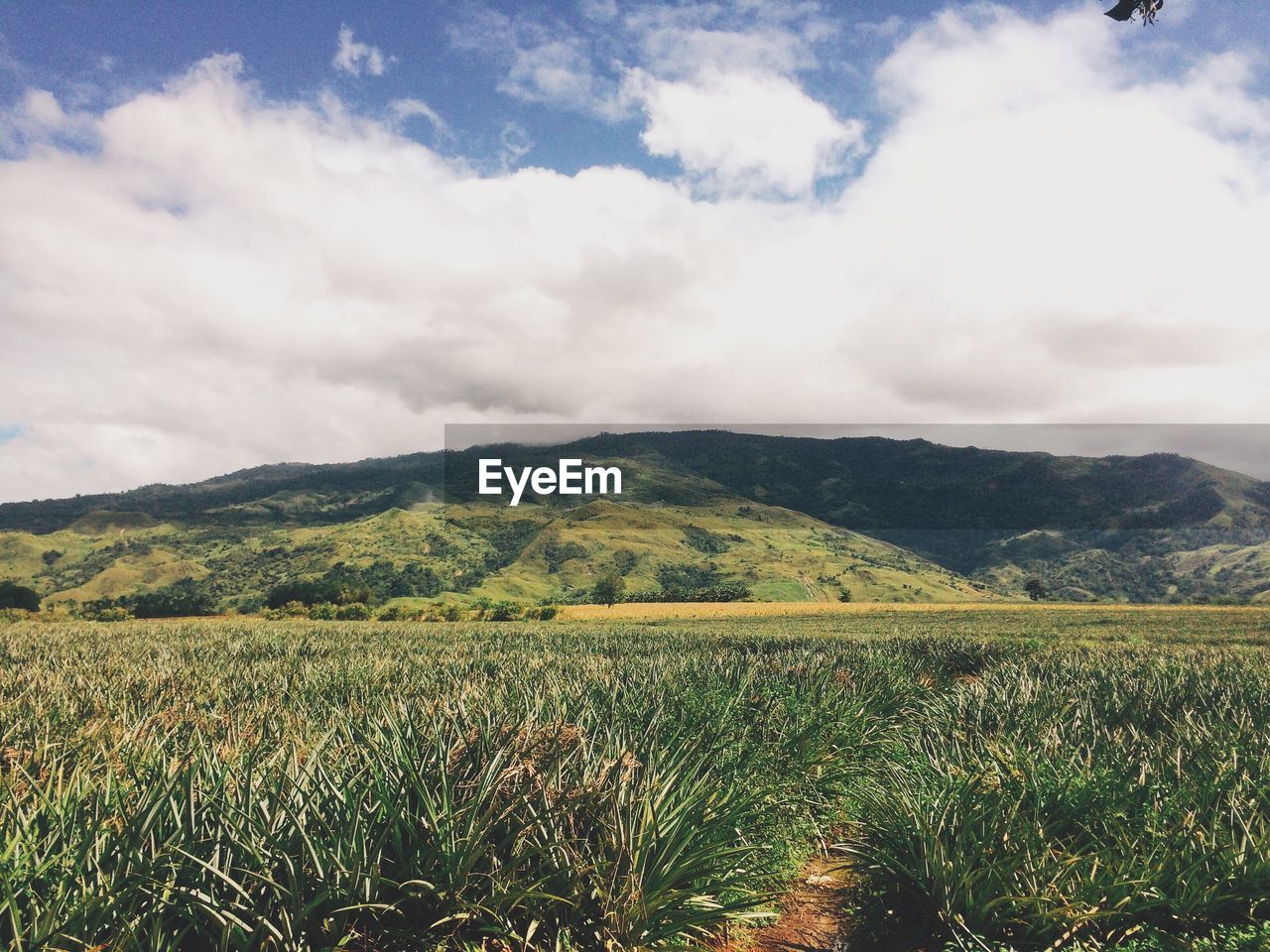 Countryside landscape against cloudy sky