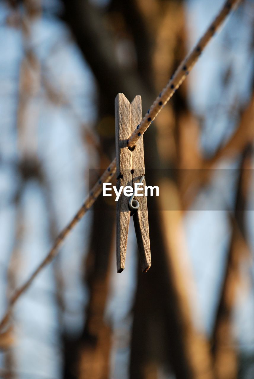 Close-up of clothespin on rope against trees