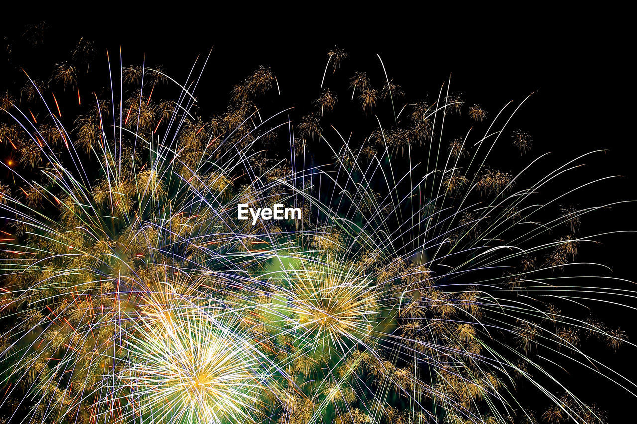 Low angle view of firework display against sky at night