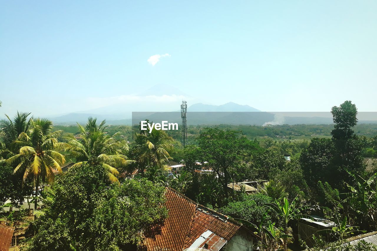 HIGH ANGLE VIEW OF PLANTS AND TREES BY BUILDING AGAINST SKY