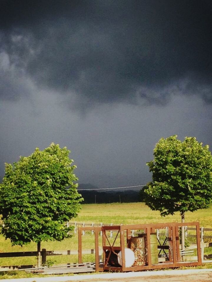 TREES ON LANDSCAPE AGAINST CLOUDY SKY