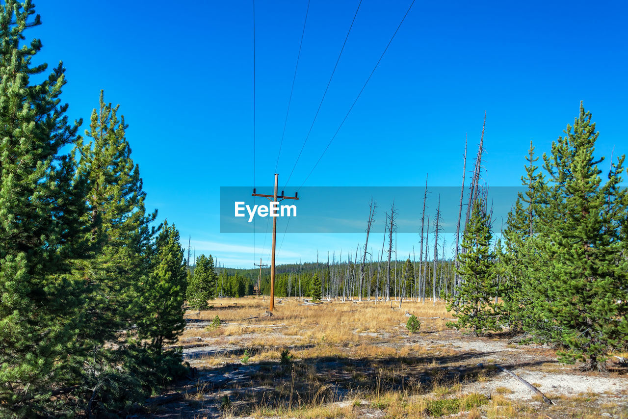 Electricity pylon on field against blue sky