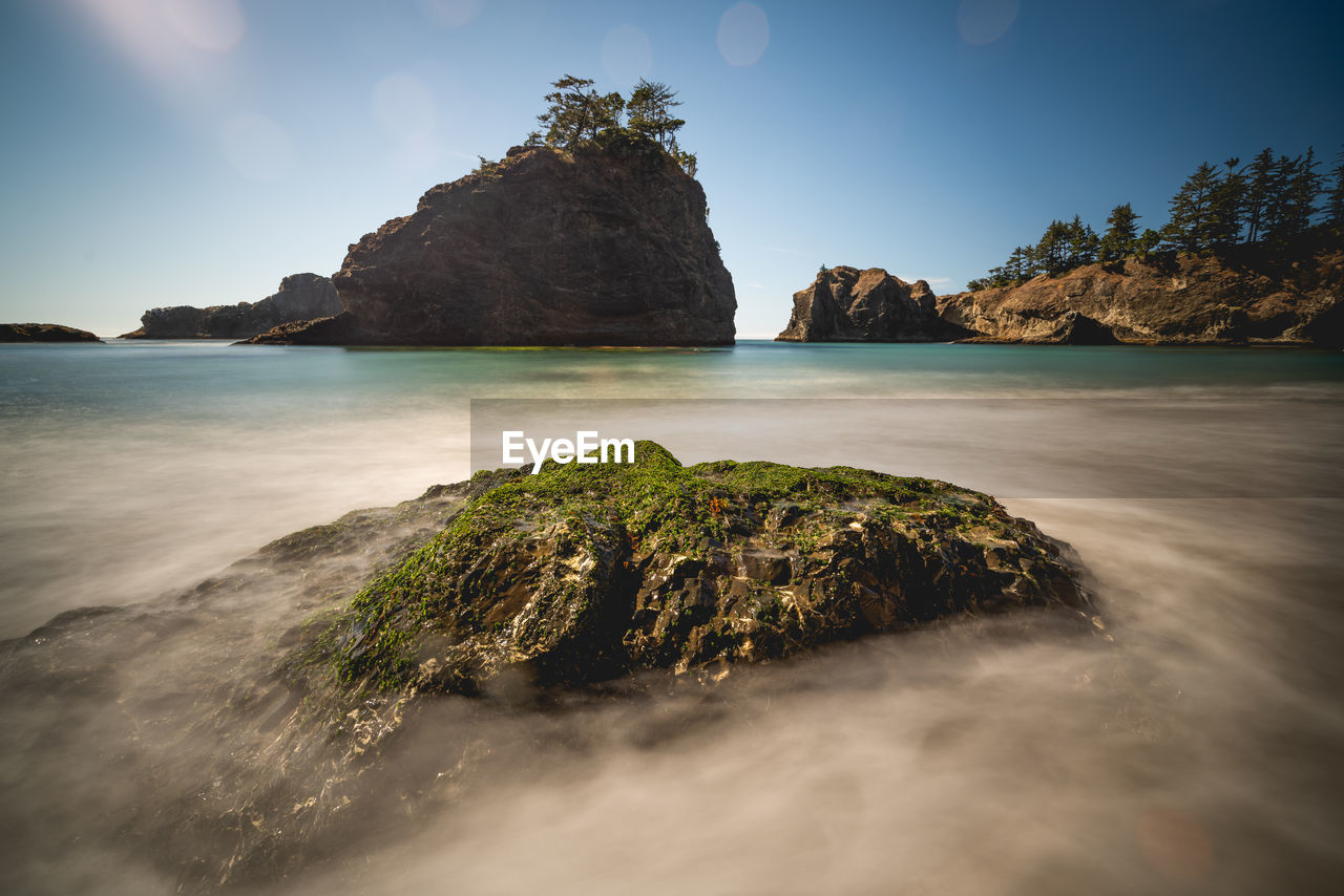 Secret beach, oregon coast. beach. rocks ond beach. trees growing on rocks. pacific ocean.
