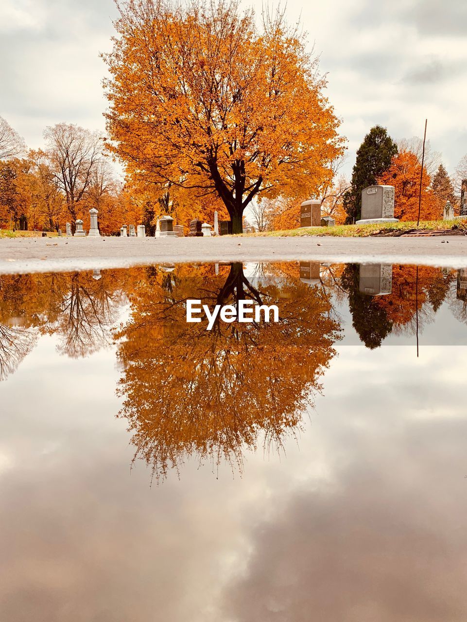 REFLECTION OF TREES ON LAKE DURING AUTUMN