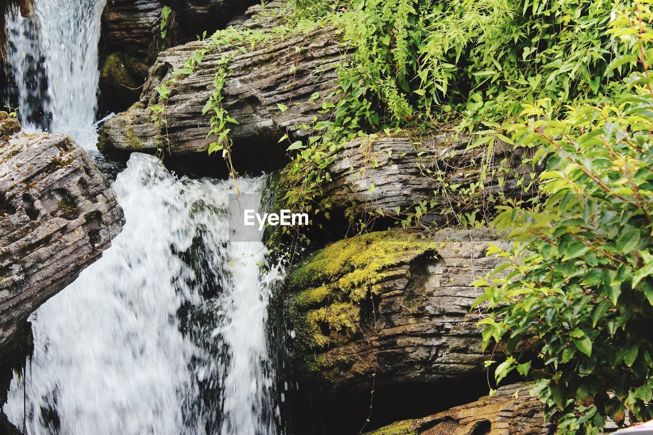 SCENIC VIEW OF WATERFALL