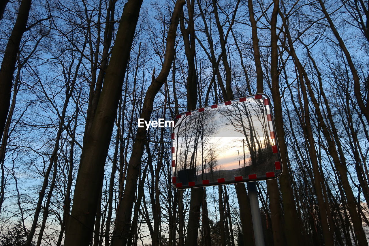 Low angle view of bare trees against sky