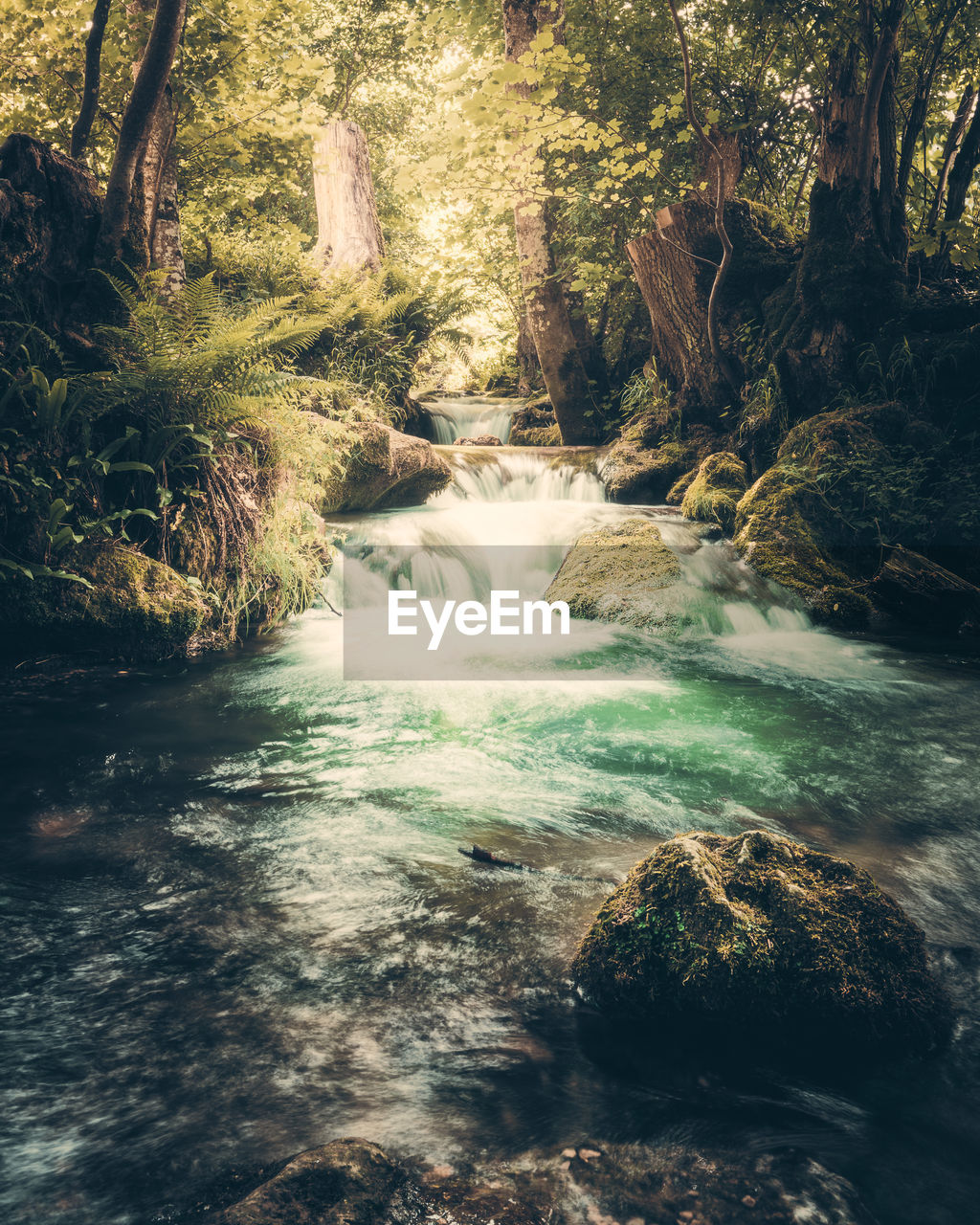 Waterfall/river stream in the forest. dreamy mood. warm colors concept.