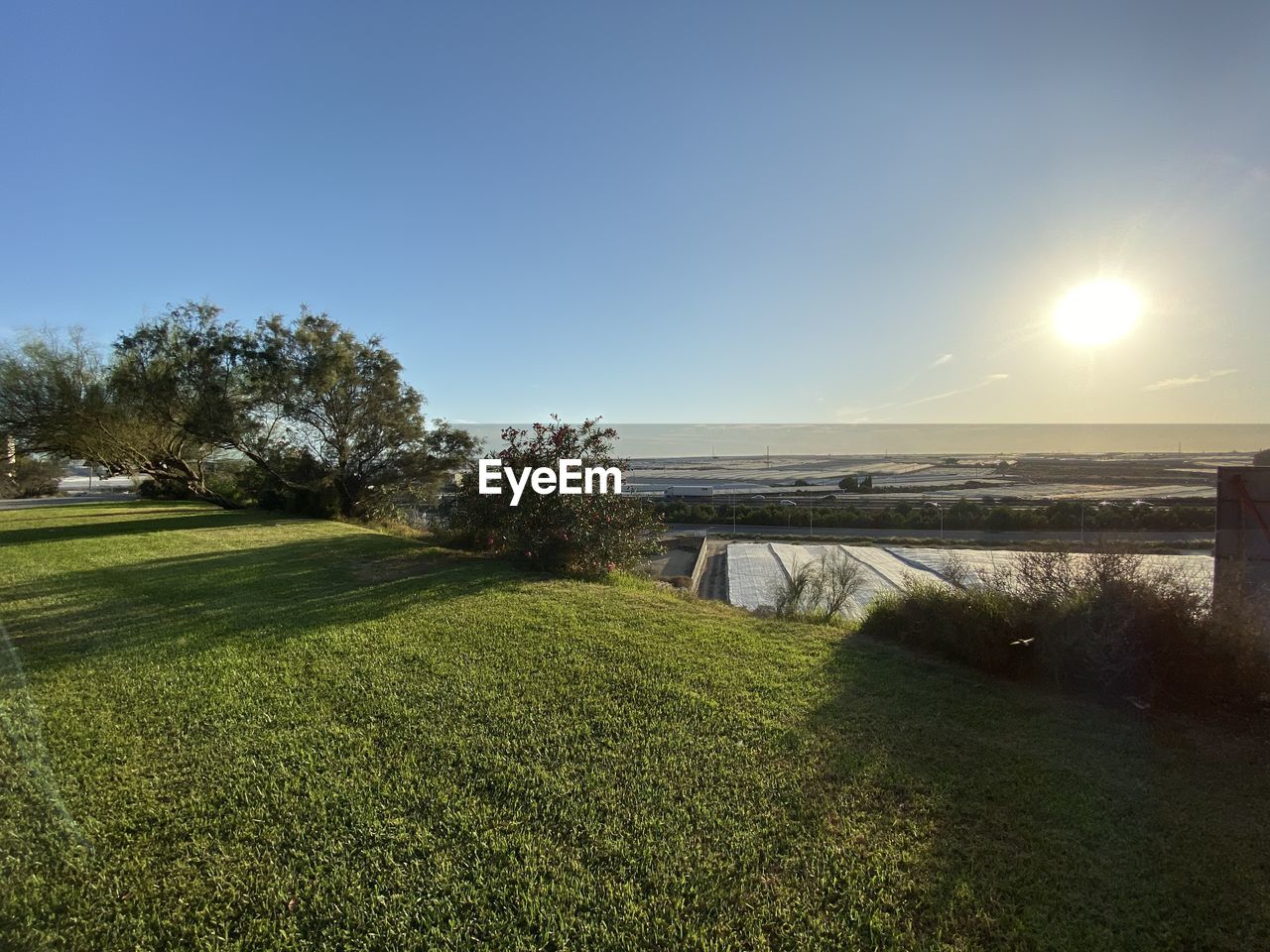 Scenic view of field against clear sky