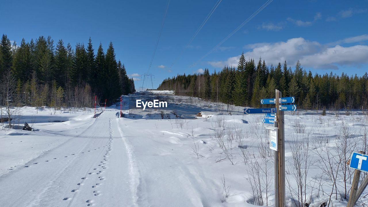 snow, winter, cold temperature, tree, piste, plant, nature, sky, skiing, winter sports, scenics - nature, nordic skiing, ski equipment, land, beauty in nature, mountain, landscape, ski, coniferous tree, environment, mountain range, pinaceae, forest, day, pine tree, white, pine woodland, blue, non-urban scene, tranquil scene, tranquility, transportation, resort, frozen, sports equipment, travel, outdoors, cloud, ski lift, travel destinations, sunlight, road, sports, field