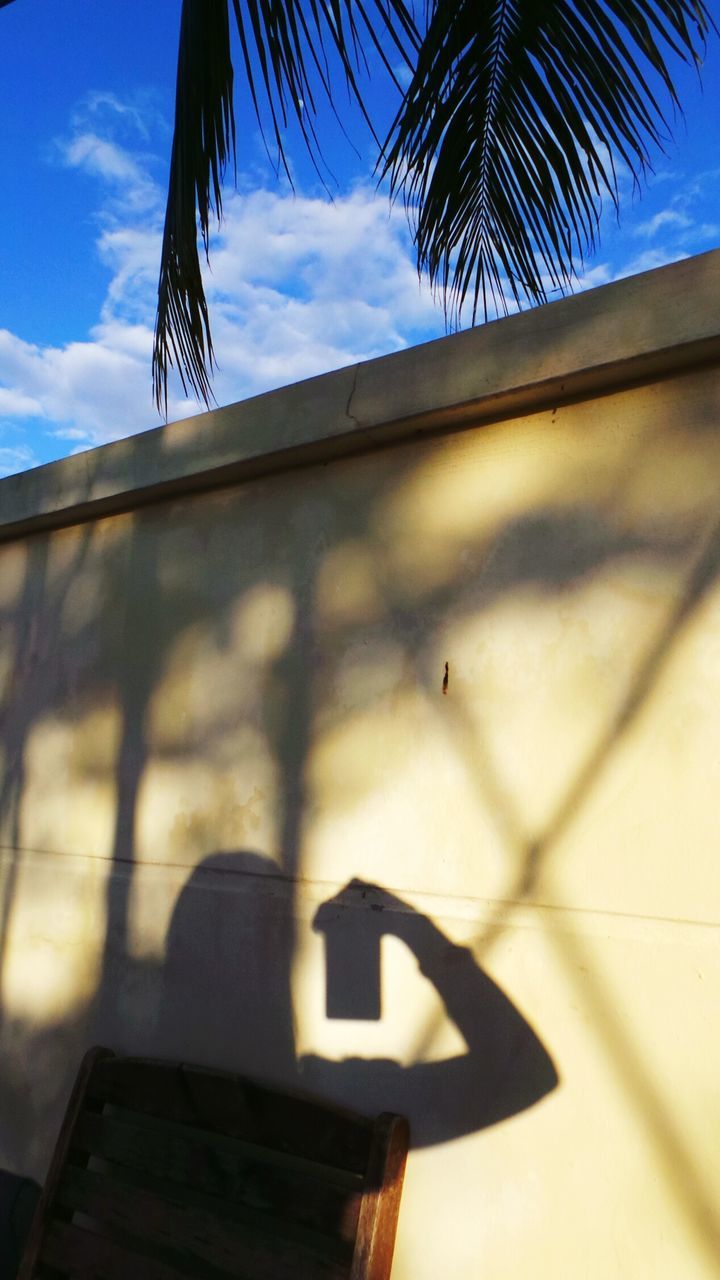 Shadow of woman with mobile phone on wall