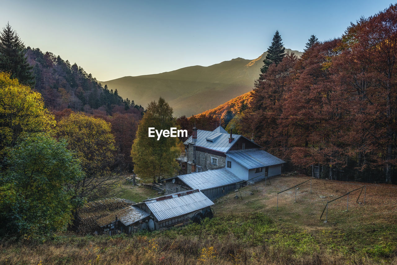 PANORAMIC VIEW OF TREES AND BUILDINGS AGAINST SKY